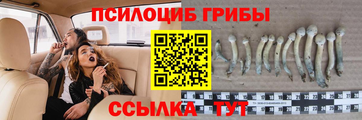 Галлюциногенные грибы MAGIC MUSHROOMS  Вход с VPN  Псилоцибиновые грибы Psilocybine cubensis  Рубцовск 