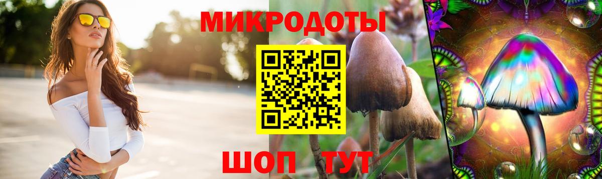 Псилоцибиновые грибы GOLDEN TEACHER Рубцовск